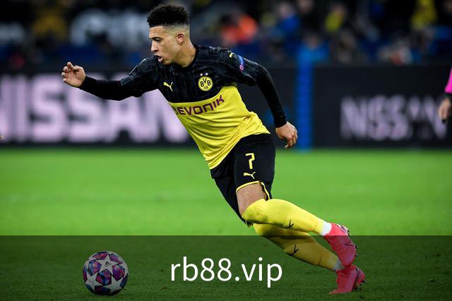 rb88.vip 公司简介